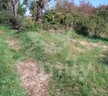 Lijepo Poljoprivredno Zemljište U Blizini Vodnjana