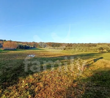 Prostrano Poljoprivreno Zemljište Blizu Mora - Banjole, Medulin