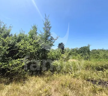 Zemljište Sa Pristupnim Putem Okruženo Zelenilom Na Mirnoj Lokaciji - Galižana, Vodnjan