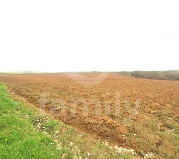 Samo Kod Nas Prodaja Prostranog Građevinskog I Poljoprivrednog Zemljišta - Požega