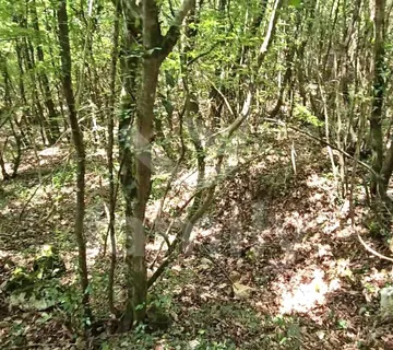 Prodaja Prostranog Poljoprivrednog Zemljišta U Krnici - Krnica, Marčana