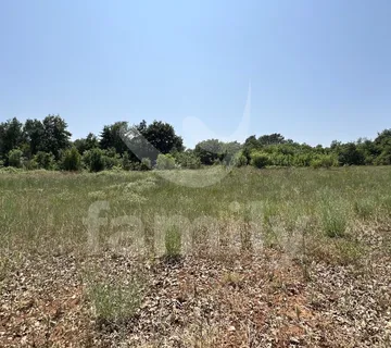 Ekskluzivno Iznimno Prostrana Šuma U Krnici - Krnica, Marčana
