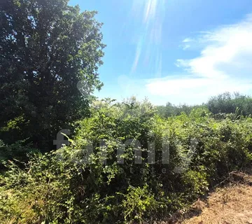 Prodaja Poljoprivrednog Zemljišta Na Traženoj Lokaciji - Šišan, Ližnjan