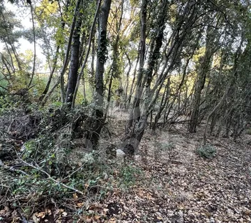 Prodaja Prostranog Poljoprivrednog Zemljišta U Vrsaru