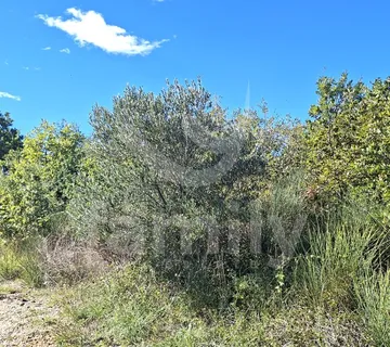 Ekskluzivno Poljoprivredno Zemljište Sa Urednim Pristupnim Putem - Rovinj