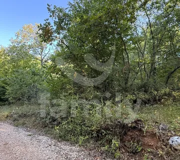 Prodaja Prostrano Poljoprivredno Zemljište Šuma Vodnjan