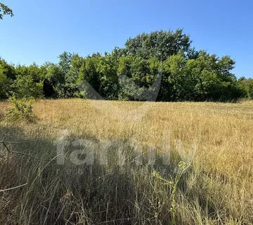 Prodaja Poljoprivrednih Zemljišta Svetvinčanat - Svetvinčenat