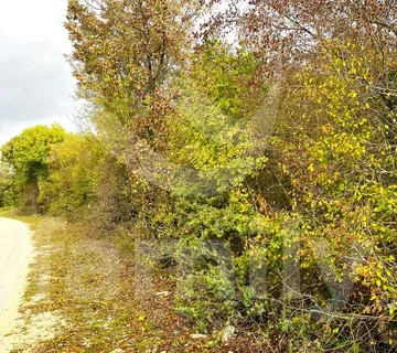 Prostrano Zemljište U Blizini Barbana - Glavani, Barban