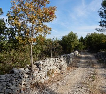 VODICE, poljoprivredno zemljište, površine 5588 m2 - cover