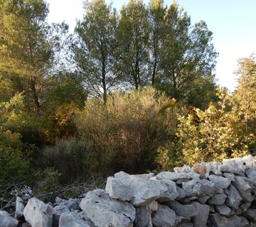 VODICE, poljoprivredno zemljište, 11556 m2, 3,5 km do mora - cover