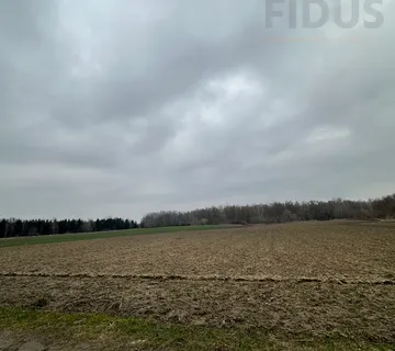 Poljoprivredno zemljište - Osijek