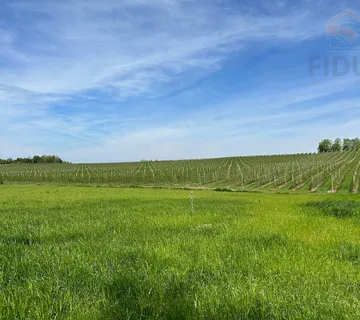 Poljoprivredno zemljište -17,5ha - Kozarska Dubica