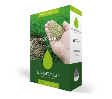 EMERALD REPAIR - cover