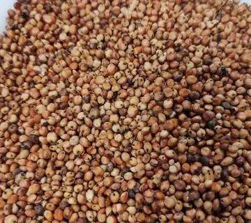 Crveni sirak 1kg - cover