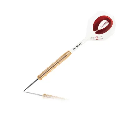 Darts Point Brass 20g Steel tip - cover