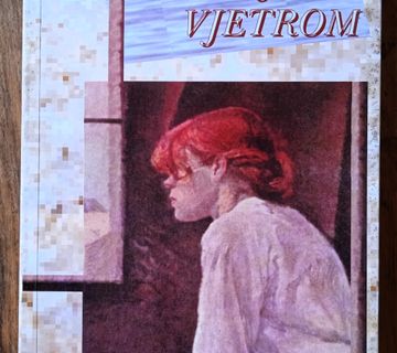 TRČANJE ZA VJETROM Ramon Diaz Eterovic - cover
