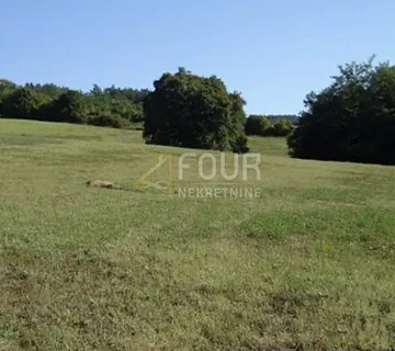 Istra, Karojba, Novaki Motovunski - okolica, građevinsko - poljoprivredno zemljište 12.550m2 - Novaki Motovunski, Karojba
