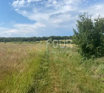 Istra, Baderna, poljoprivredno zemljište 53.691m2 - cover