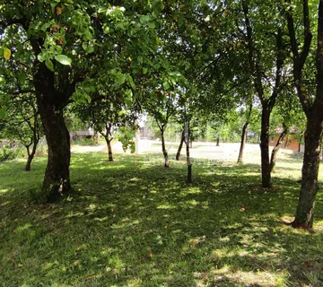 Ogulin, samostojeća kuća, garaža, gosp. zgrada, okućnica
