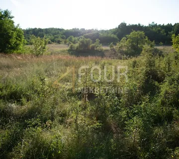Istra, Labin - okolica, građevinsko zemljište s projektom za vilu s bazenom