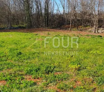 Istra, Vodnjan, poljoprivredno zemljište 4.385m2