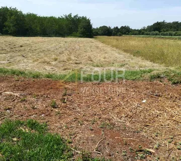 Istra, Krnica, poljoprivredno zemljište 4900m2 - Krnica, Marčana