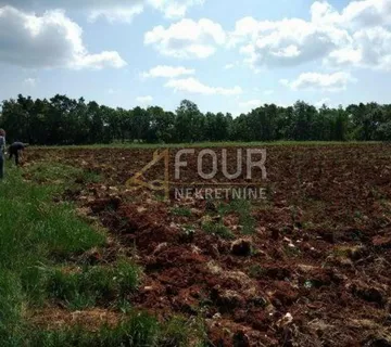 Istra, Svetvinčenat, poljoprivredno zemljište 8.700m2