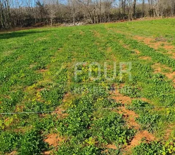 Istra, Vodnjan, poljoprivredno zemljište 416m2
