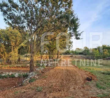 Otok Krk, Šilo, poljoprivredno zemljište 453m2 - Šilo, Dobrinj