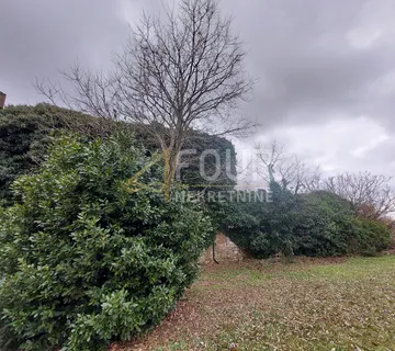 Istra, Bale - okolica, kamena ruševina na parceli od 7.801m2 - cover