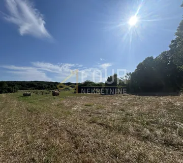 Istra, Vintijan, 2.500m2, poljoprivredno zemljište - Vintijan, Medulin