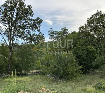 Kukuljanovo, građevinsko zemljište, 6.554m2 - cover