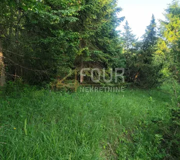 Gorski kotar, Brod Moravice - okolica, poljoprivredno zemljište 2.201m2 - cover
