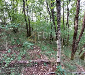 Veprinac, poljoprivredno zemljište 4013m2 - cover