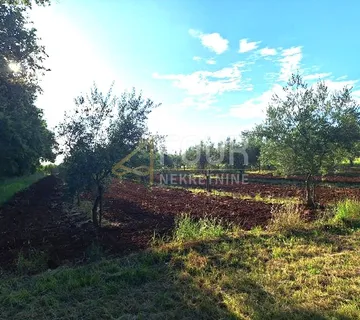 Istra, Brtonigla, poljoprivredno zemljište 5.077m2