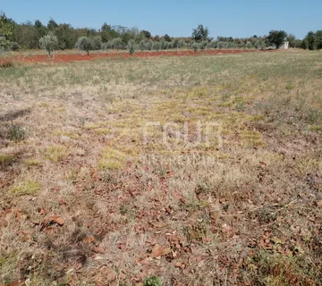 Istra, Marčana, poljoprivredno zemljište, 500m2