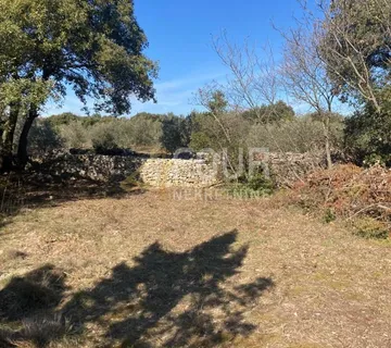 Istra, Marčana- okolica, poljoprivredno zemljište 431m2