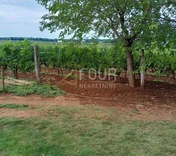 Istra, Poreč - okolica, poljoprivredno zemljište 26.600m2 - cover