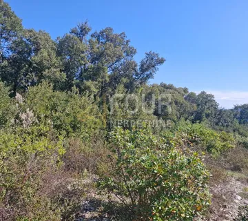 Istra, Marčana, poljoprivredno zemljište, 550m2 - cover