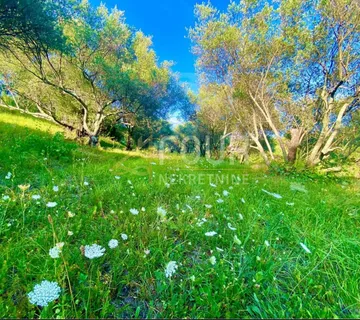 Istra, Cerovlje, zemljište 2.257m2 sa 6 ucrtanih ruševina