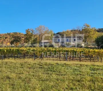 Istra, Cerovlje - okolica, imanje od 3.369m2 - dvije kamene kuće - cover