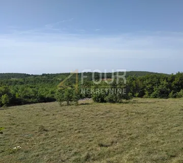 Istra, Višnjan - okolica, poljoprivredno zemljište 38.900m2 - cover