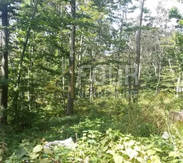 Škrljevo, poljoprivredno zemljište 29.685m2 - Škrljevo, Bakar