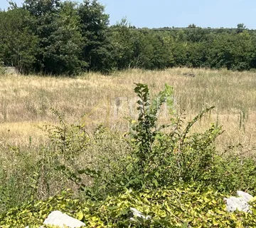 Istra, Vodnjan - okolica, građevinsko zemljište s projektom kuće s bazenom