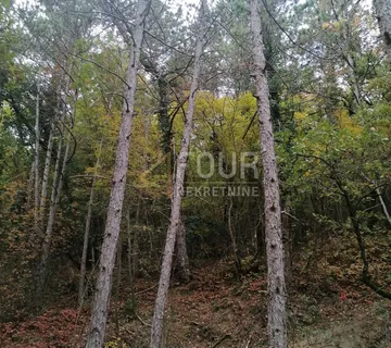 Istra, Buzet - okolica, poljoprivredno zemljište, 3.820m2 - cover