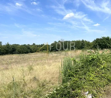 Istra, Vodnjan - okolica, građevinsko zemljište s projektom kuće s bazenom