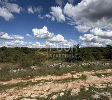 Istra, Svetvinčenat - okolica, poljoprivredno zemljište 2.913m2