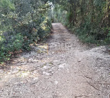 Istra, Kavran, poljoprivredno zemljište - cover