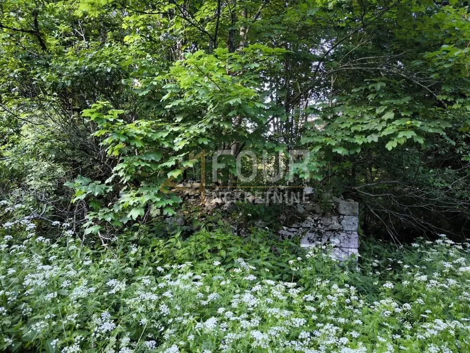 Senj - zaleđe, Crni Kal, zemljište s ruševinom - cover