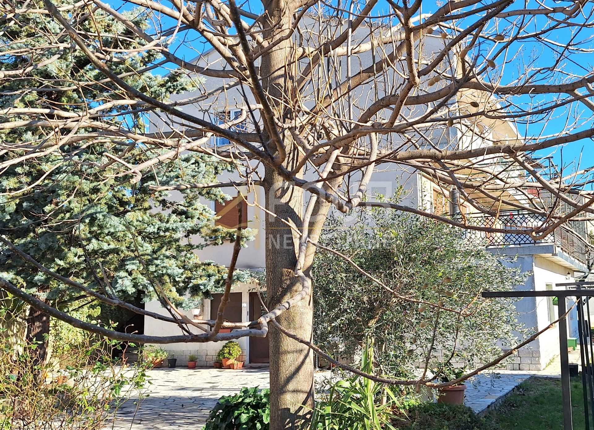 Fotografija